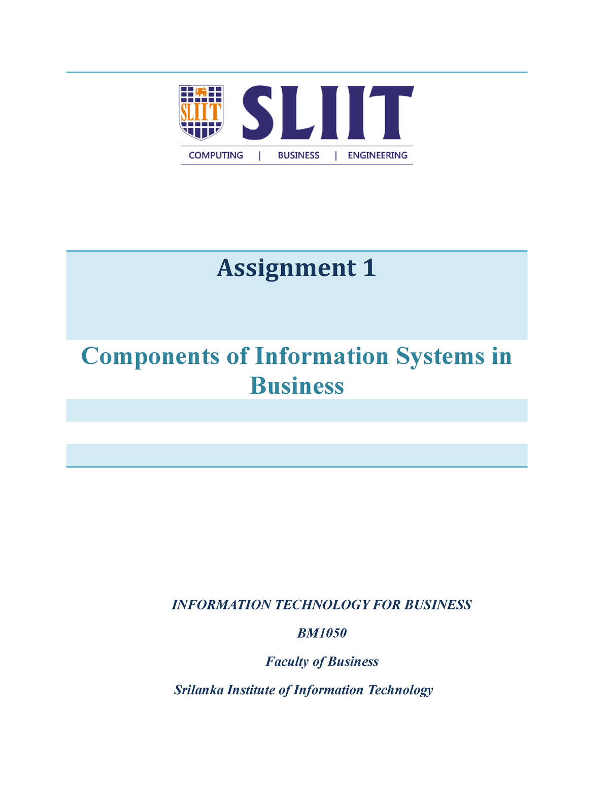 business information system assignment sample