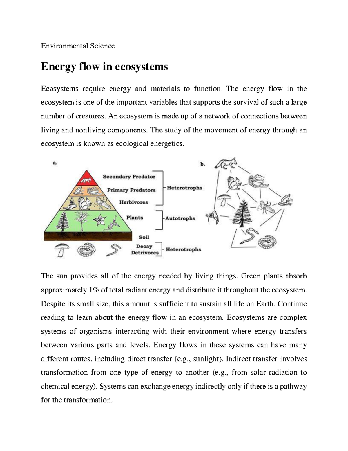 energy flow essay