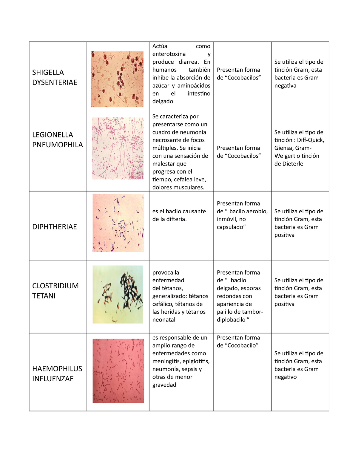 tinción de gram para clostridium tetani