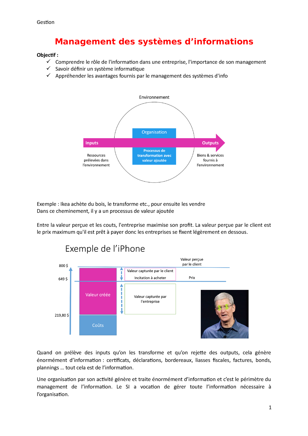 Management Des Systèmes D'information - Gestion Management Des Systèmes ...