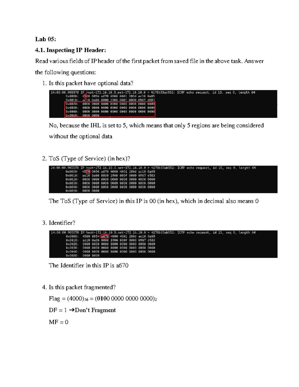 NEES a short description Lab 05 4. Inspecting IP Header Read