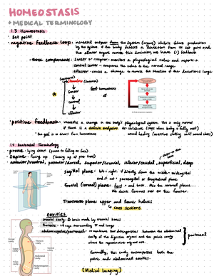 BA275 Day1 - Day 1 Notes - Some Vocab To Get Us Started Population: The ...