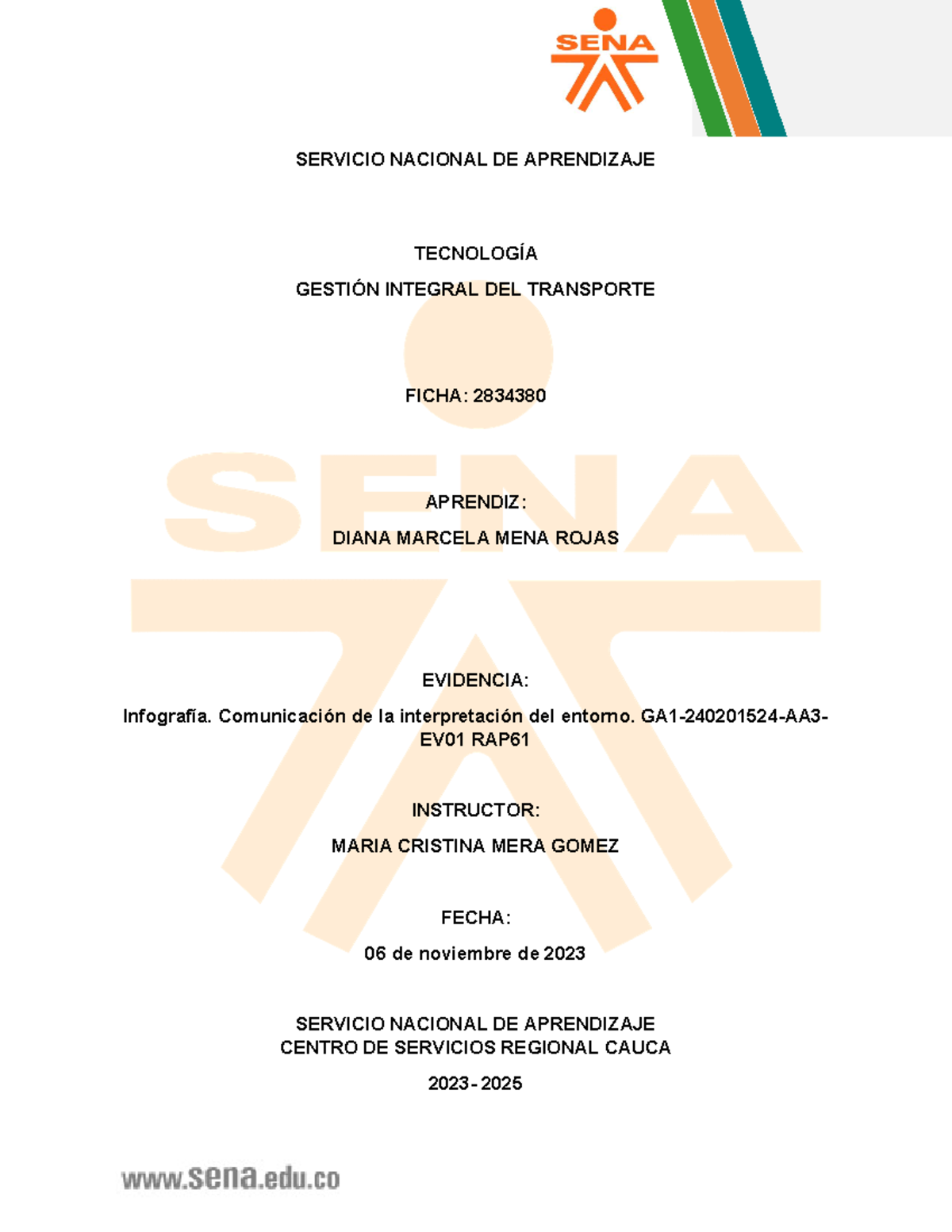 Infografía Comunicación De La Interpretación Del Entorno Servicio