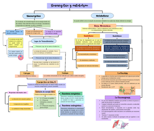 Mapa conceptual Bioenergetica y metabolismo - Bioquímica Farmacológica - US  - Studocu