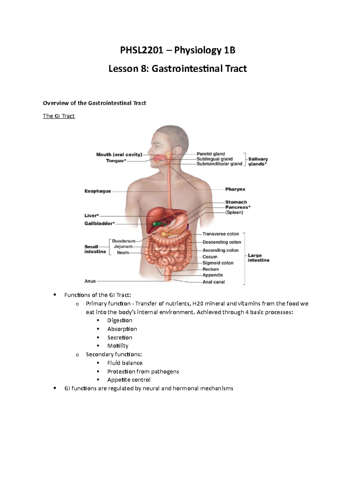 PHSL2201 - L8 (Gastrointestinal Tract) - PHSL2201 – Physiology 1B ...