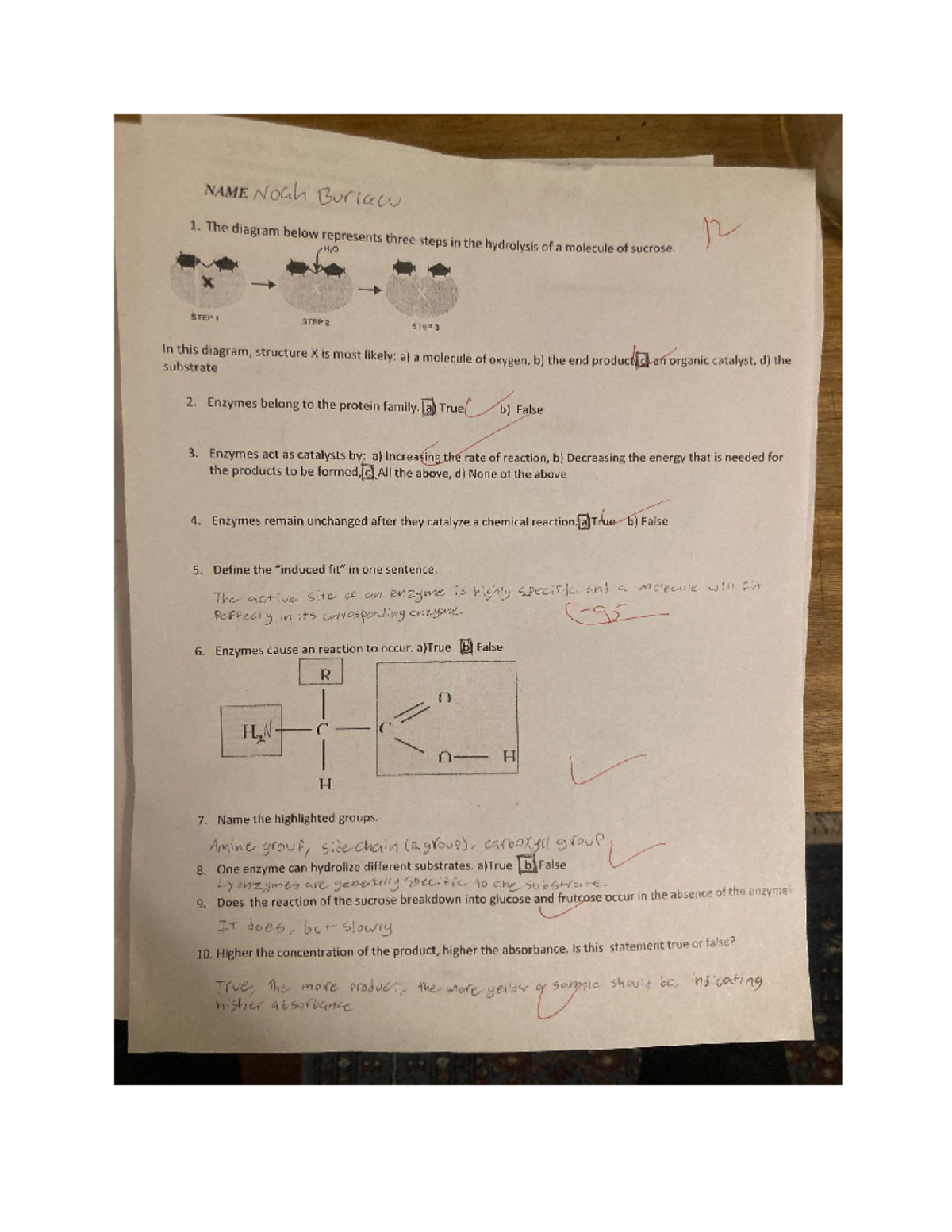 doc-4-enzymes-1-test-bio100-studocu