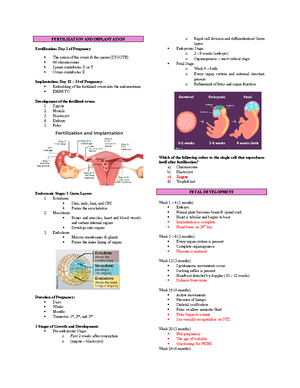 NCP Phlebitis 5-15-24 - good luck nurses - ASSESSMENT DIAGNOSIS ...