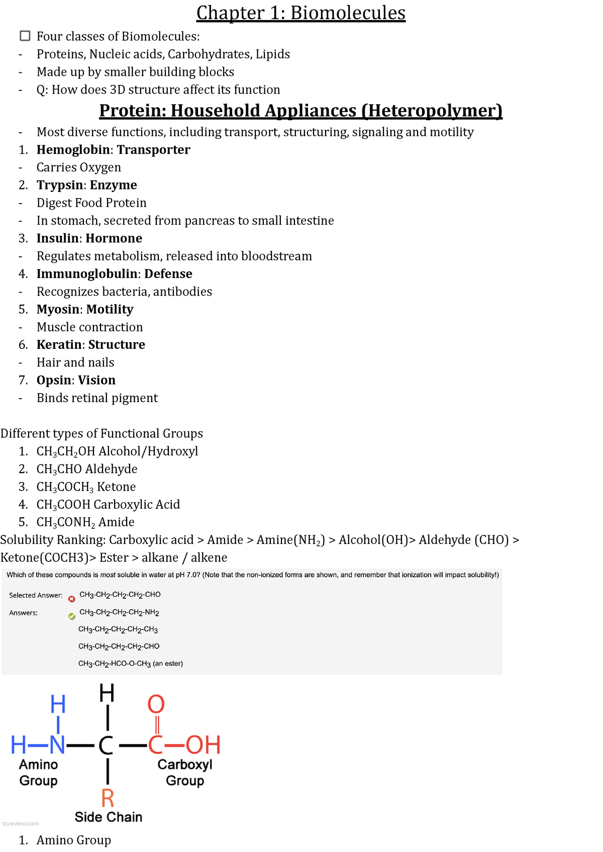 Bio 305 Exam 1 Lecture - Chapter 1: Biomolecules Four Classes Of ...