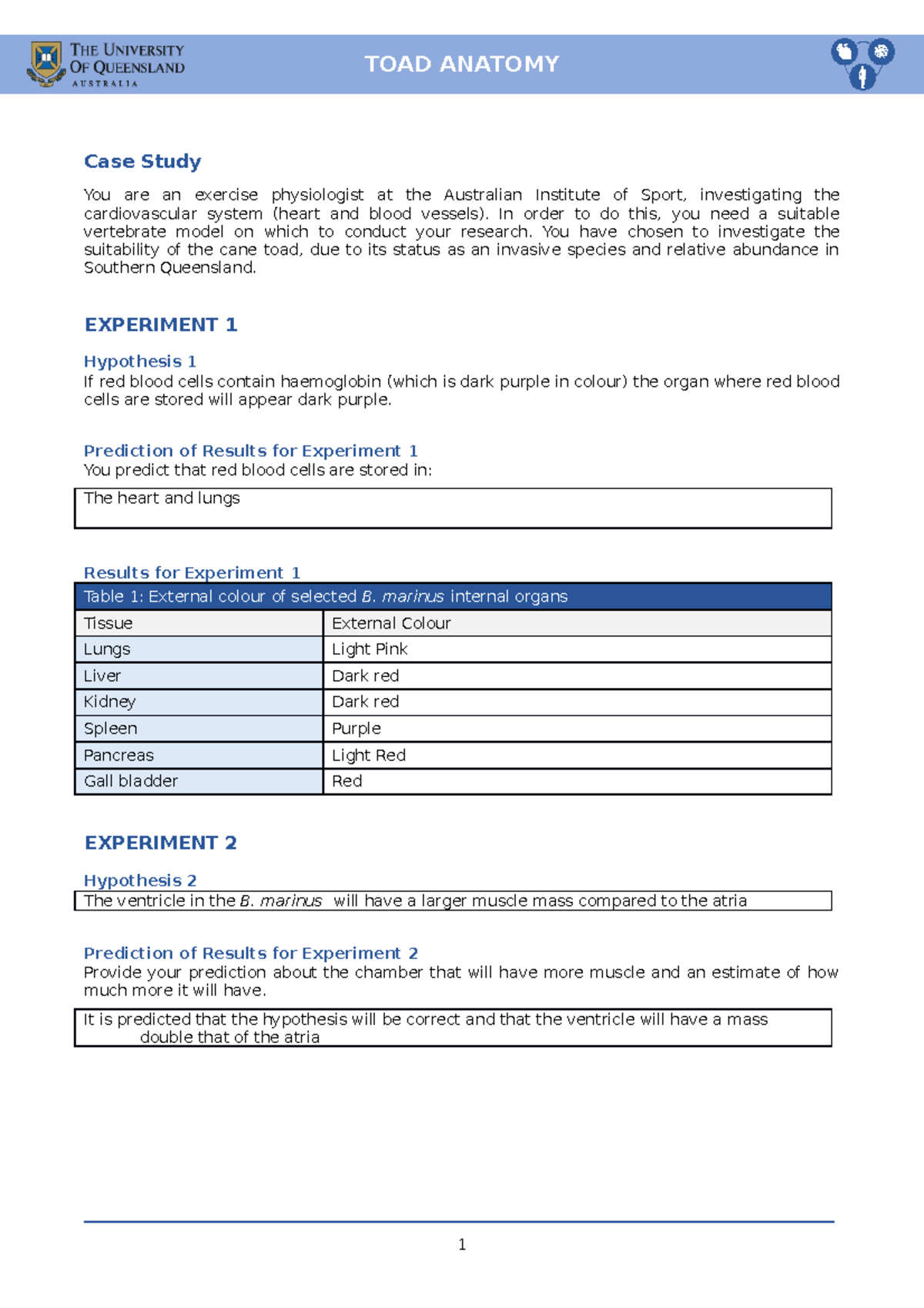 Toad Anatomy Report - toad - Case Study You are an exercise ...