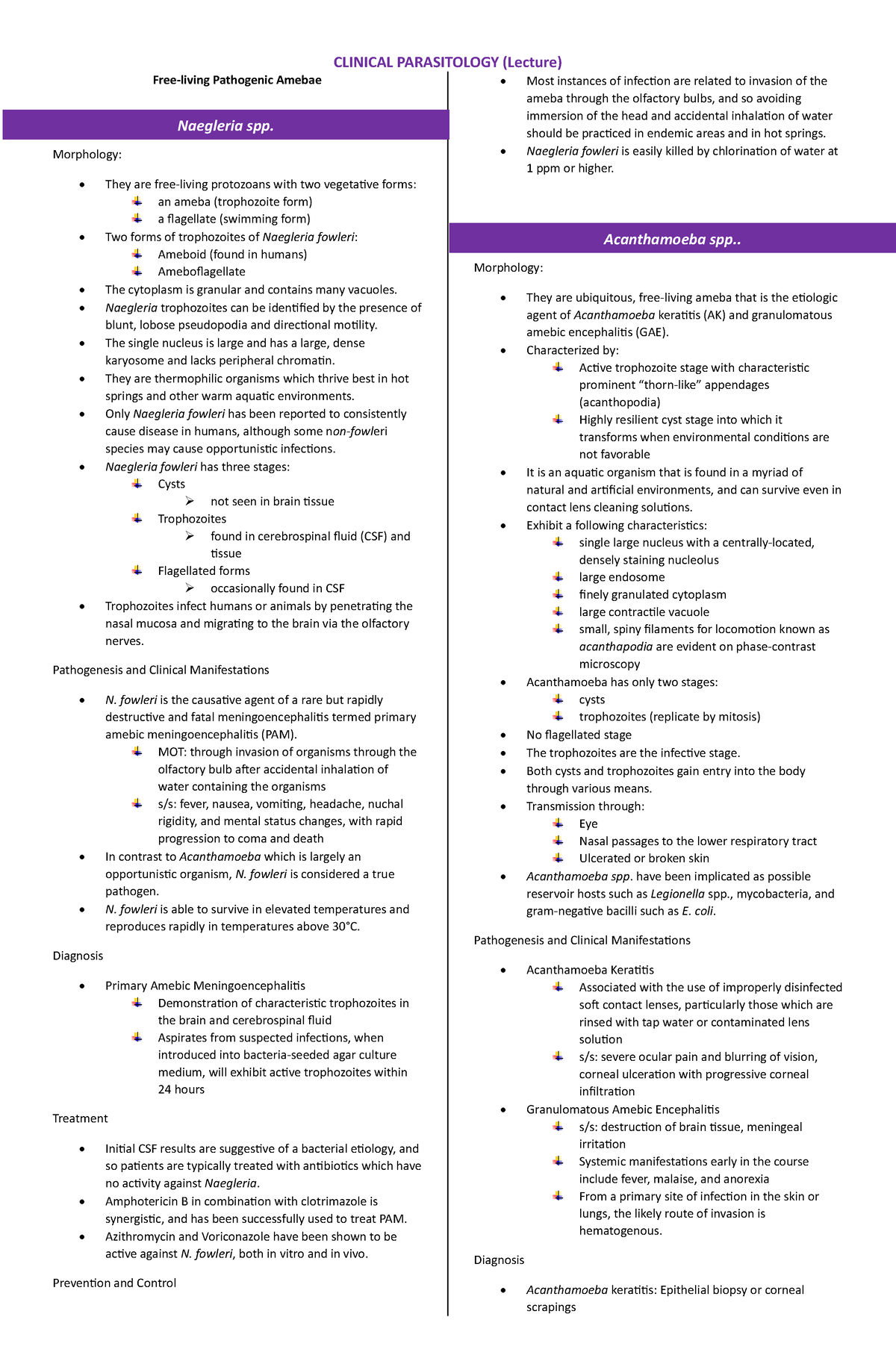 Free living protozoa ciliate flagellates bellezario - CLINICAL ...