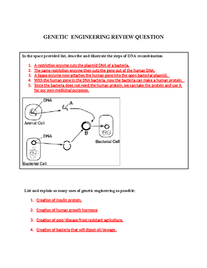 Evidences-of-Chemical-Reactions-Lesson-Plan - Lesson Plan : Evidences ...