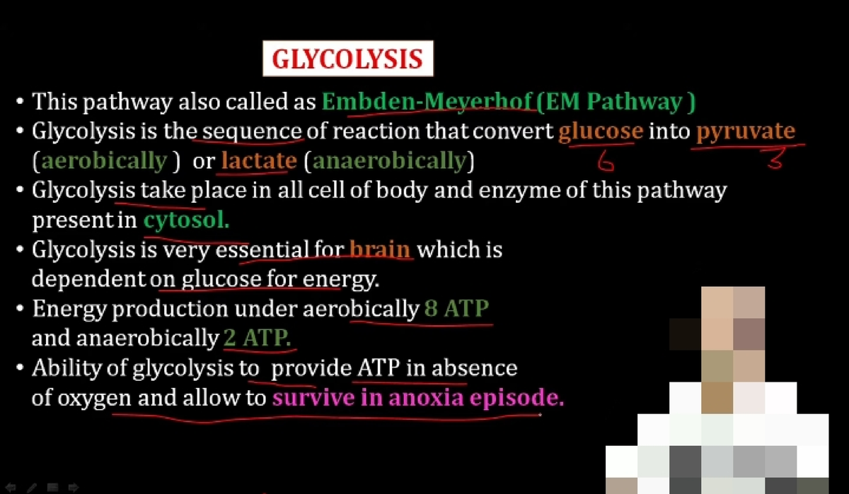 Glycolysis-WPS Office - Biochemistry - Studocu