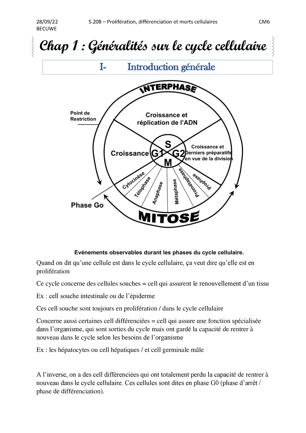 Biomol 2 - Rien à Signaler - BECUWE Chap 1 : Généralités Sur Le Cycle ...