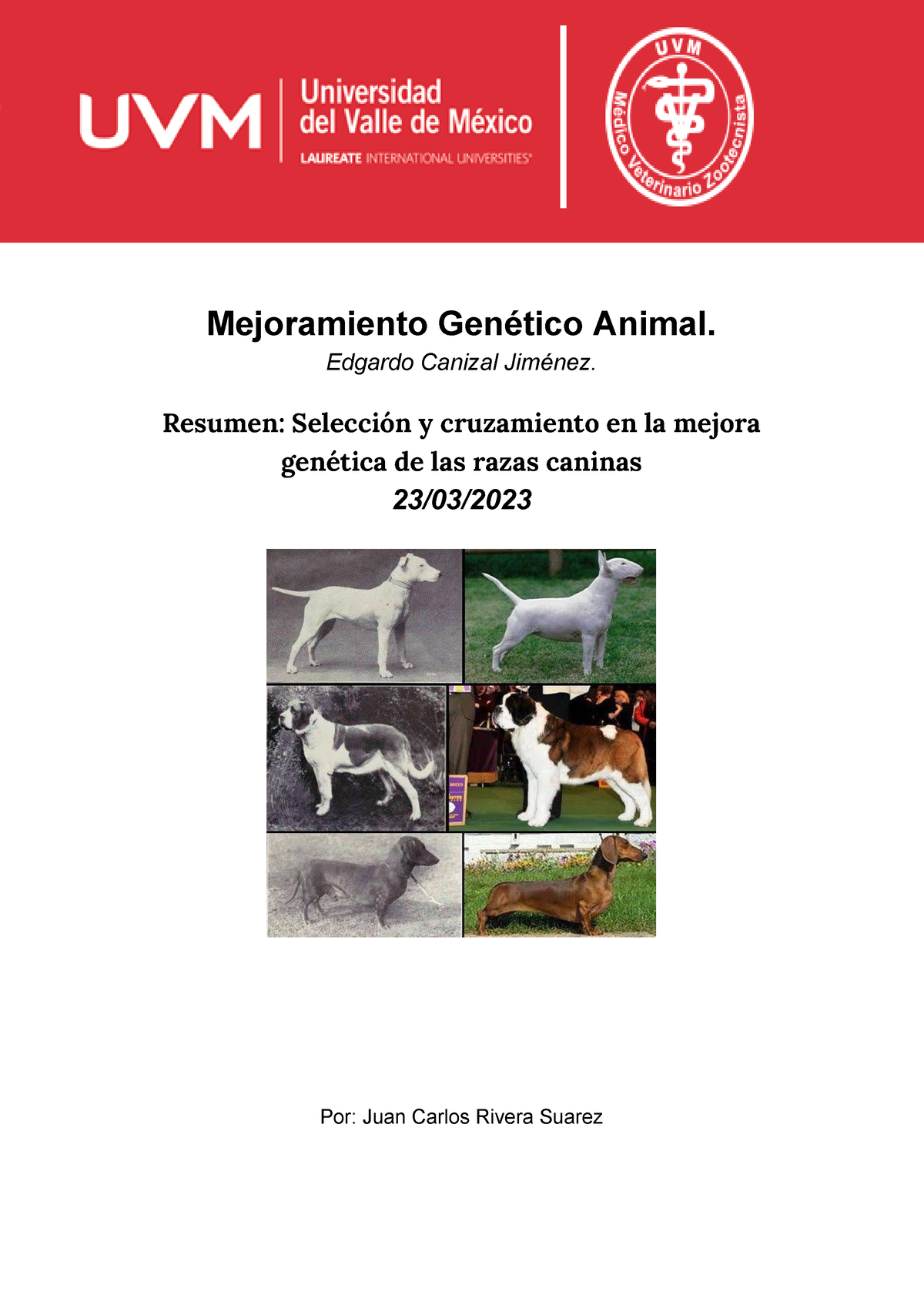 Resumen De Información Genealógica - Mejoramiento Genético Animal ...