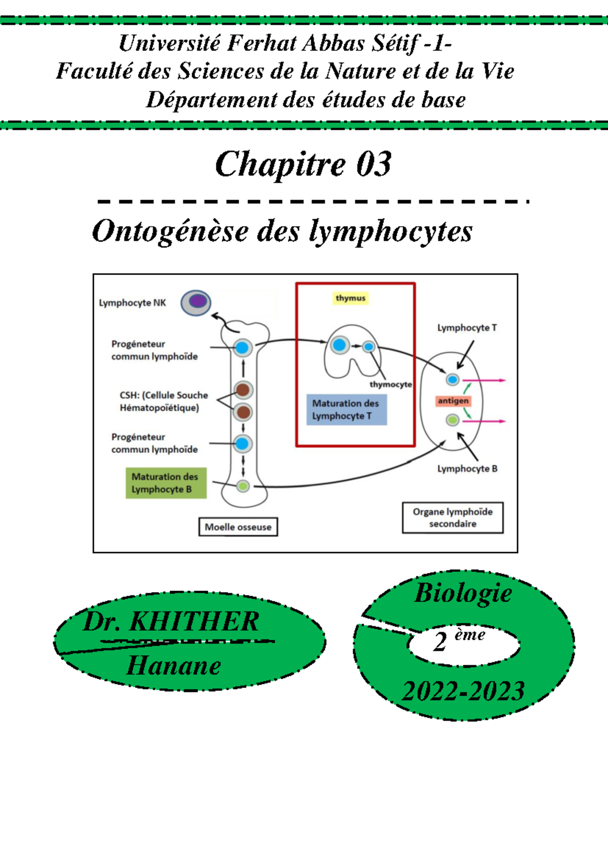 Chapitre 3 immuno Ontogénèse des lymphocytes - Université Ferhat Abbas ...