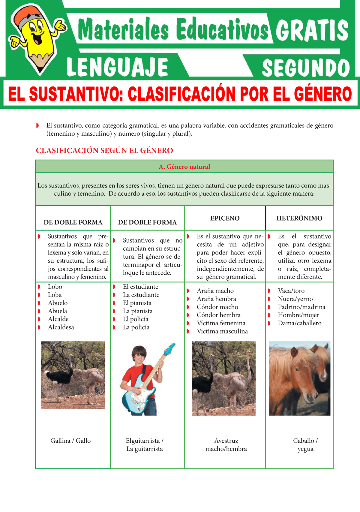 Clasificación Del Sustantivo Según Su Género Para Segundo Grado De Secundaria Z El Sustantivo 1801