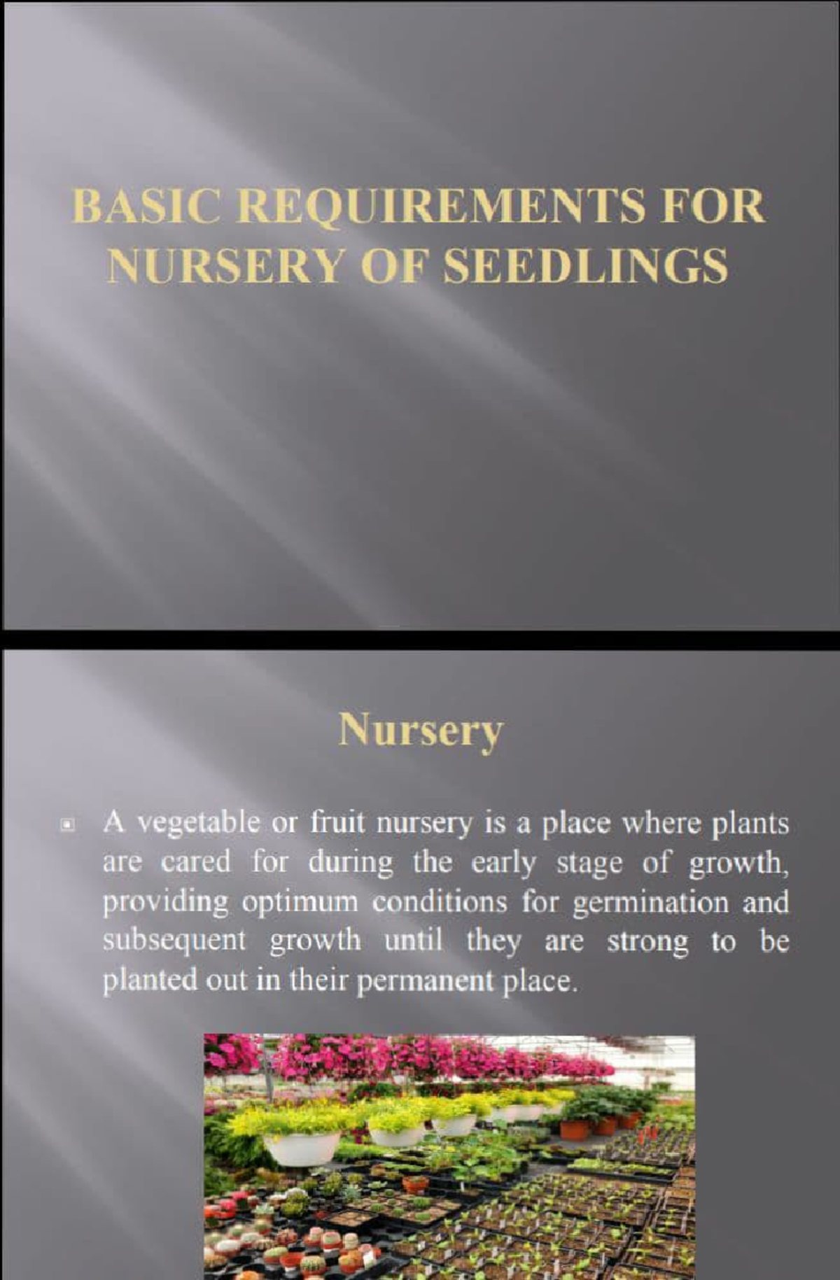 Setting up a nursery BASIC REQUIREMENTS FOR NURSERY OF SEEDLINGS Nursery A vegetable or fruit