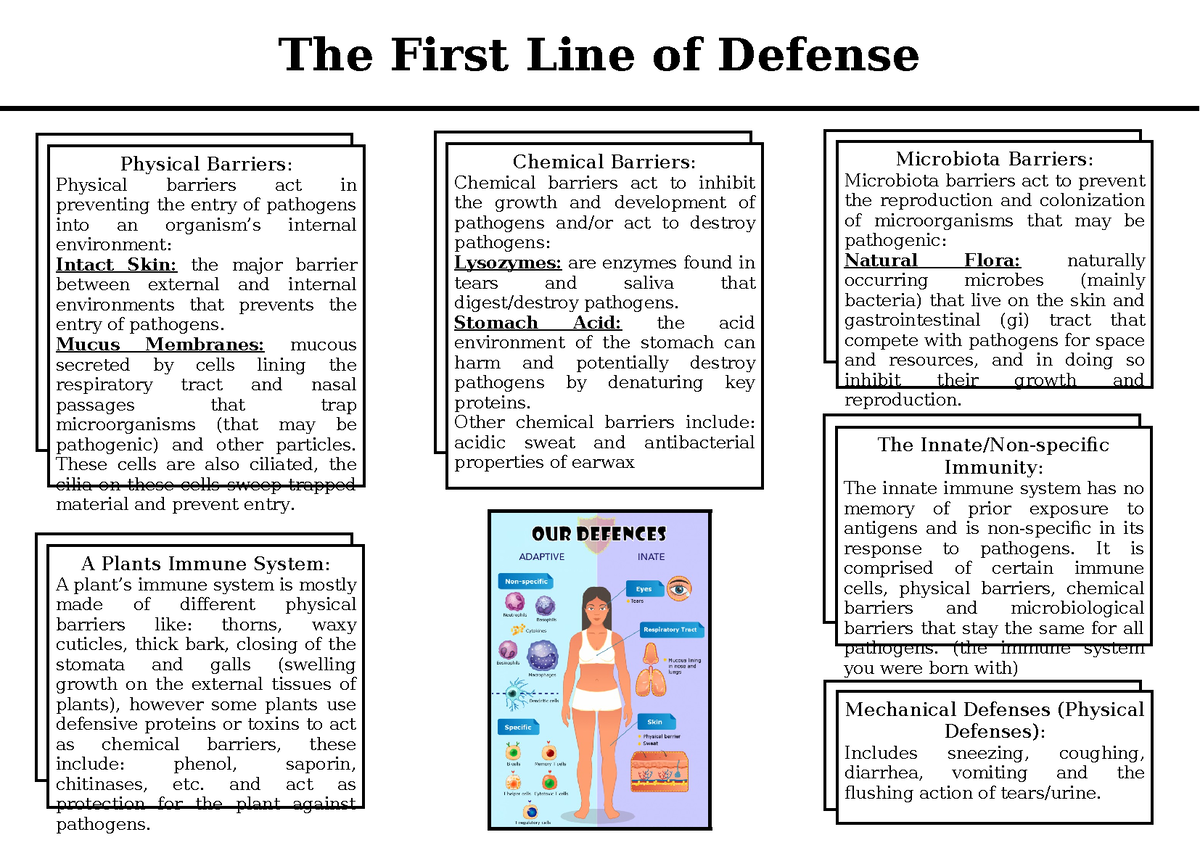 First Line of Defense (mind map - poster) - The First Line of Defense ...