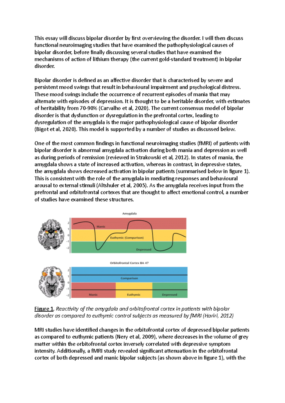 Bipolar disorder report This essay will discuss bipolar disorder by