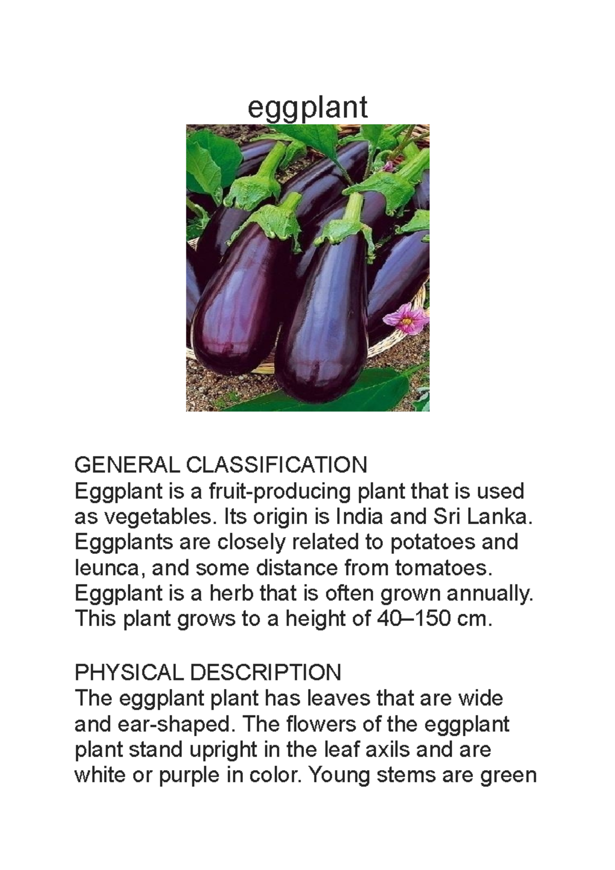 Teks report terong aaaaaa eggplant GENERAL CLASSIFICATION Eggplant