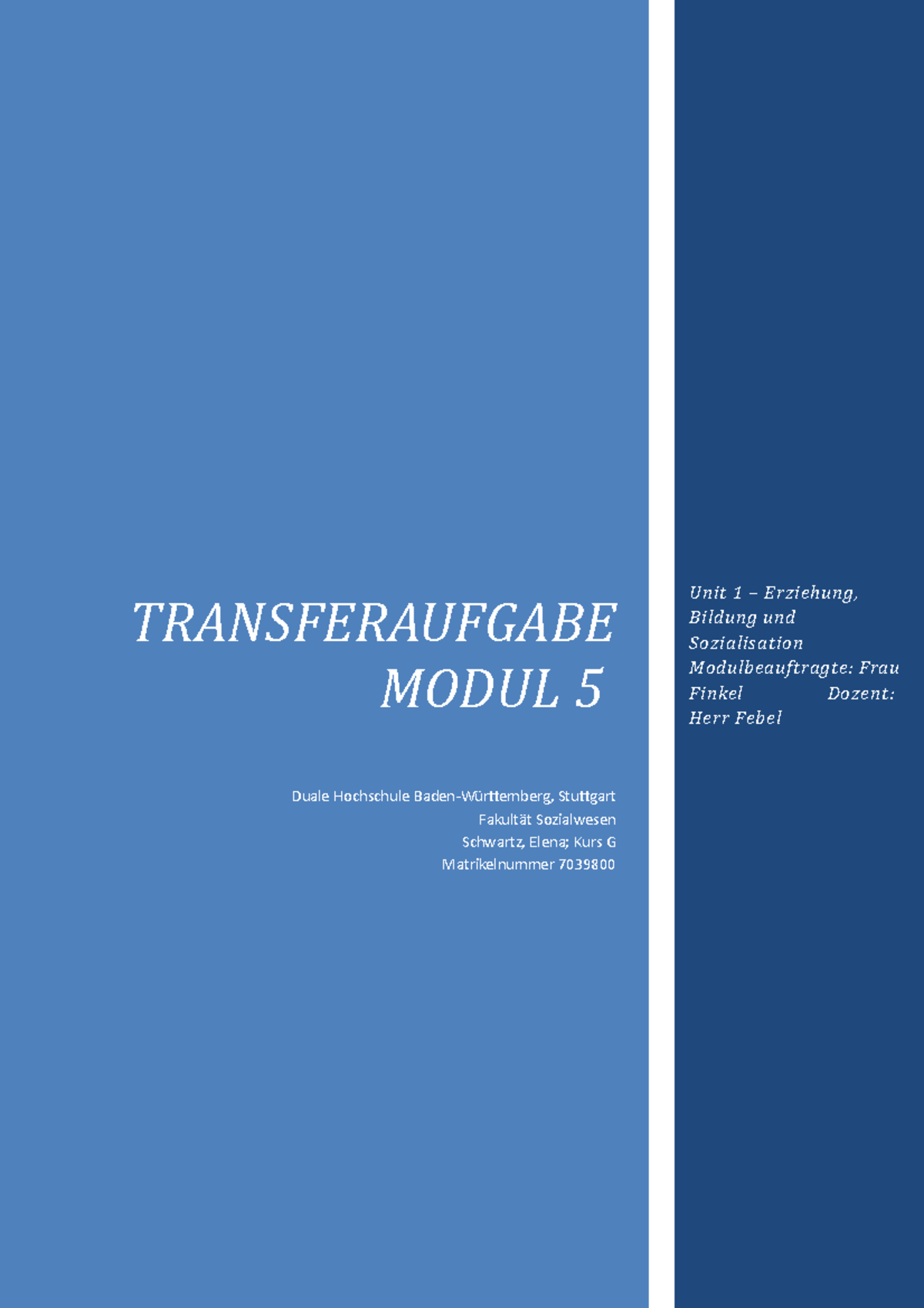 Transferaufgabe Modul 5 - Unit 1 – Erziehung, Bildung Und Sozialisation ...