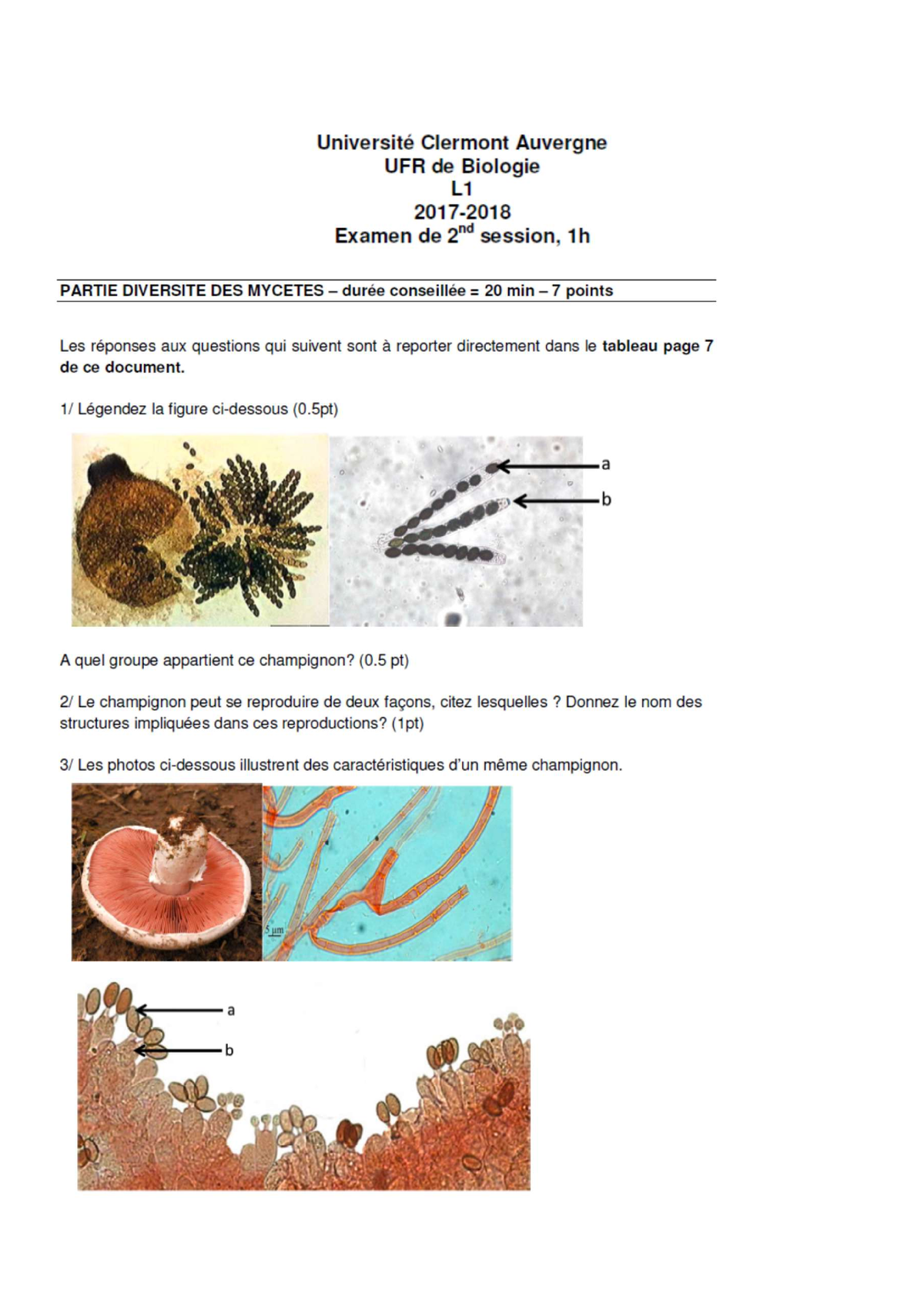 Annales Mycologie S2 - .... - Biologie - UCA - Studocu