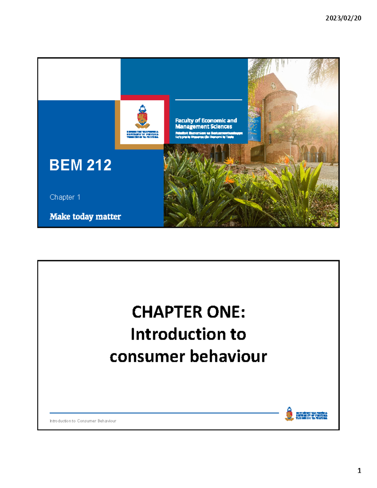 BEM 212 Chapter 1 Colour - BEM 212 Chapter 1 Introduction to Consumer ...