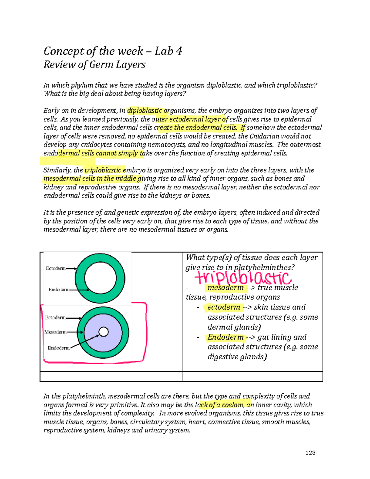 Lab+4+-+Platyhelminthes+lab - Concept of the week – Lab 4 Review of ...