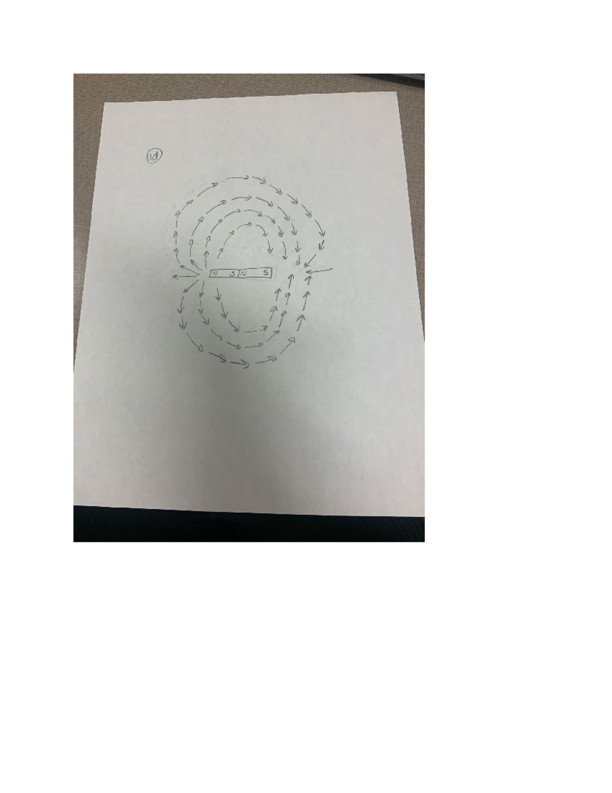 field lines lab2 PHY162 Studocu