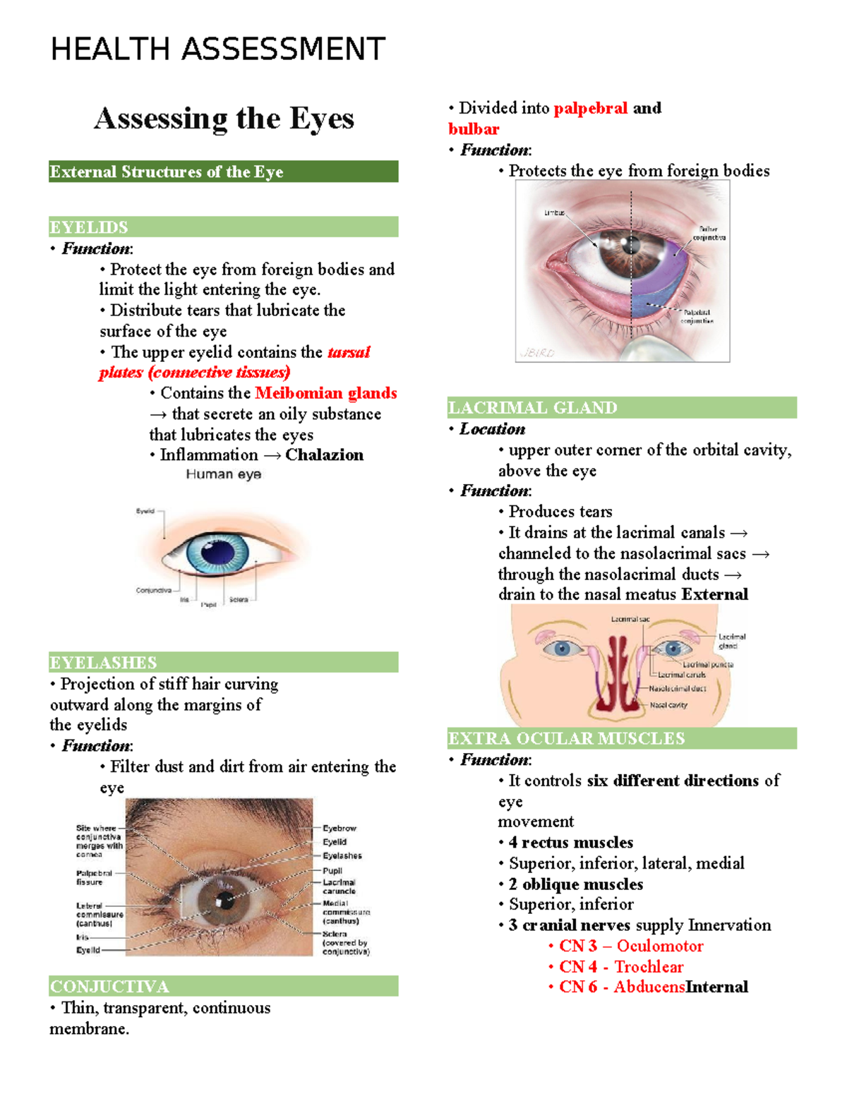 Inbound 7933878795855414252 - HEALTH ASSESSMENT Assessing the Eyes ...