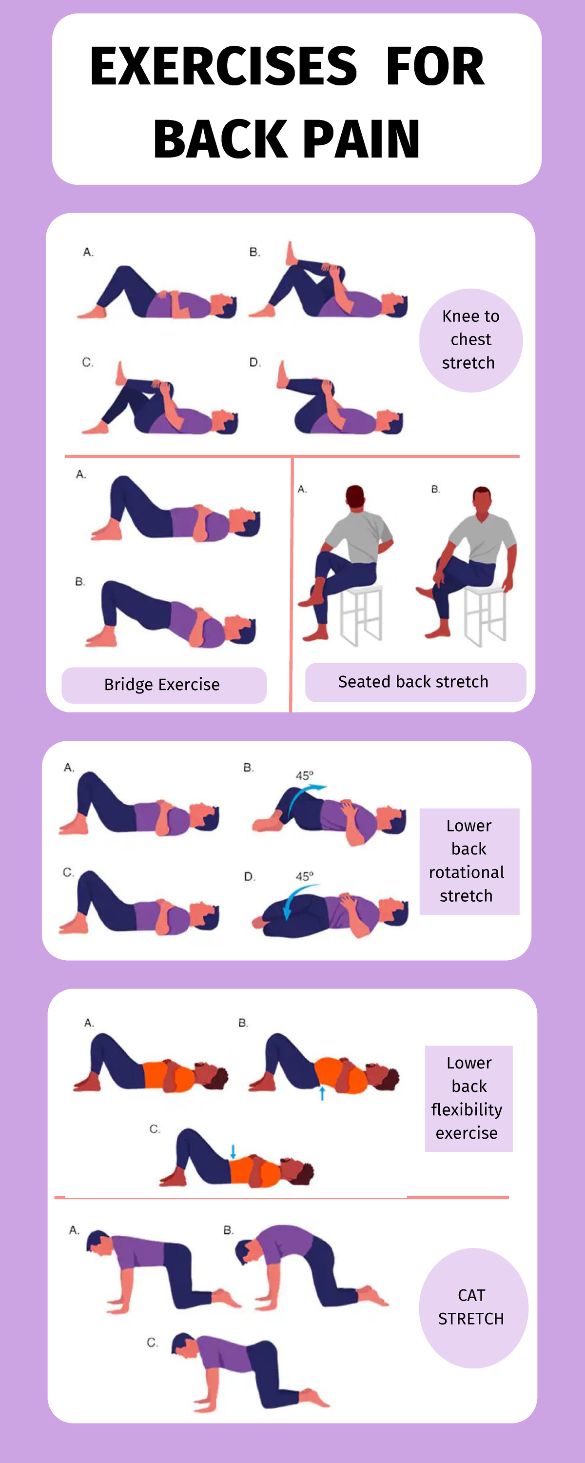 Exercise For Back Pain - Physiotherapy - Knee To Chest Stretch Bridge 