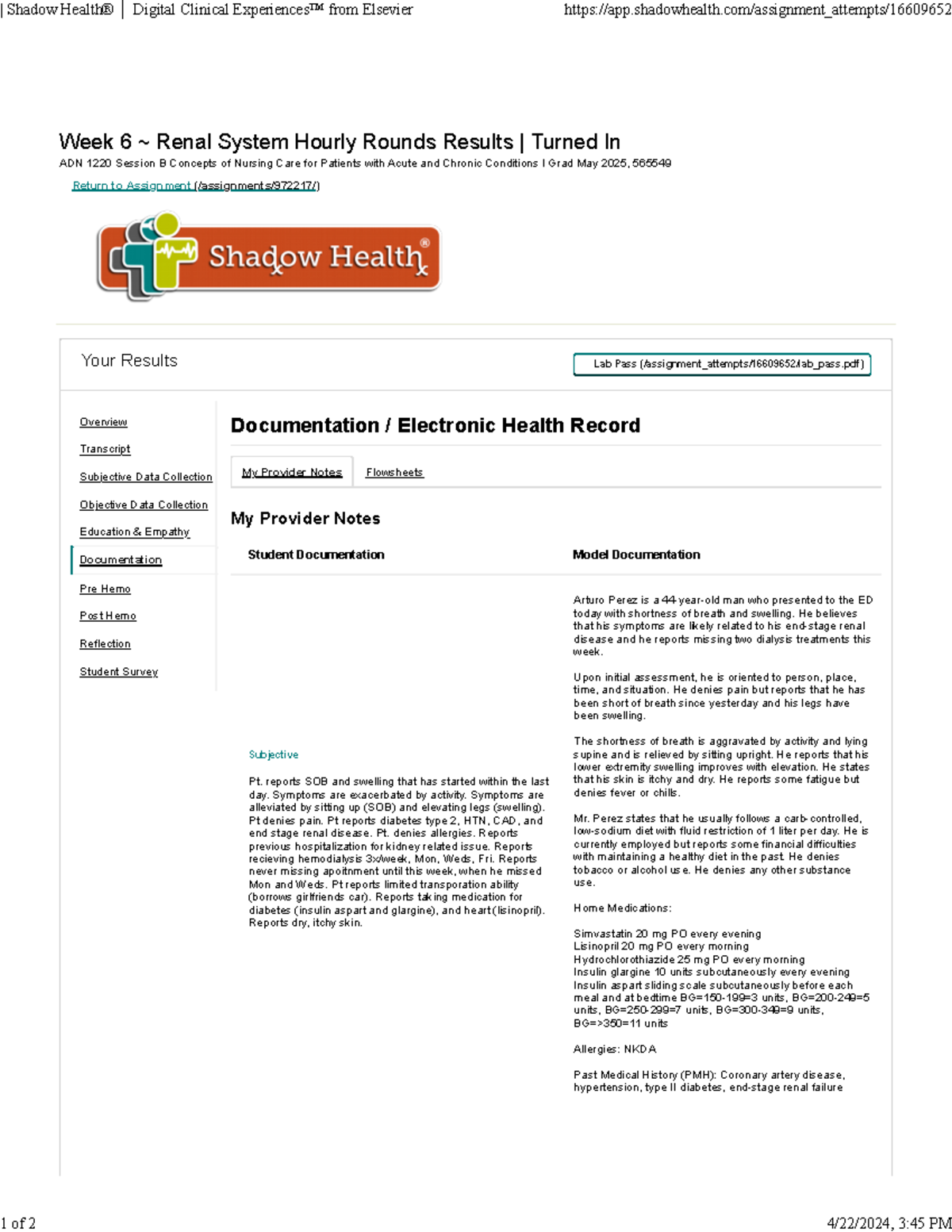 Shadow Health Renal System Hourly Rounds Arturo Perez Documentation