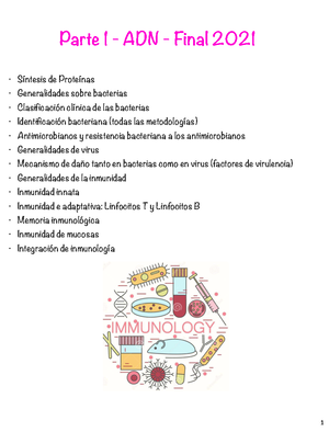 Ejercicios Sintesis De Proteinas - UA8 (ADN): Síntesis De Proteínas ...