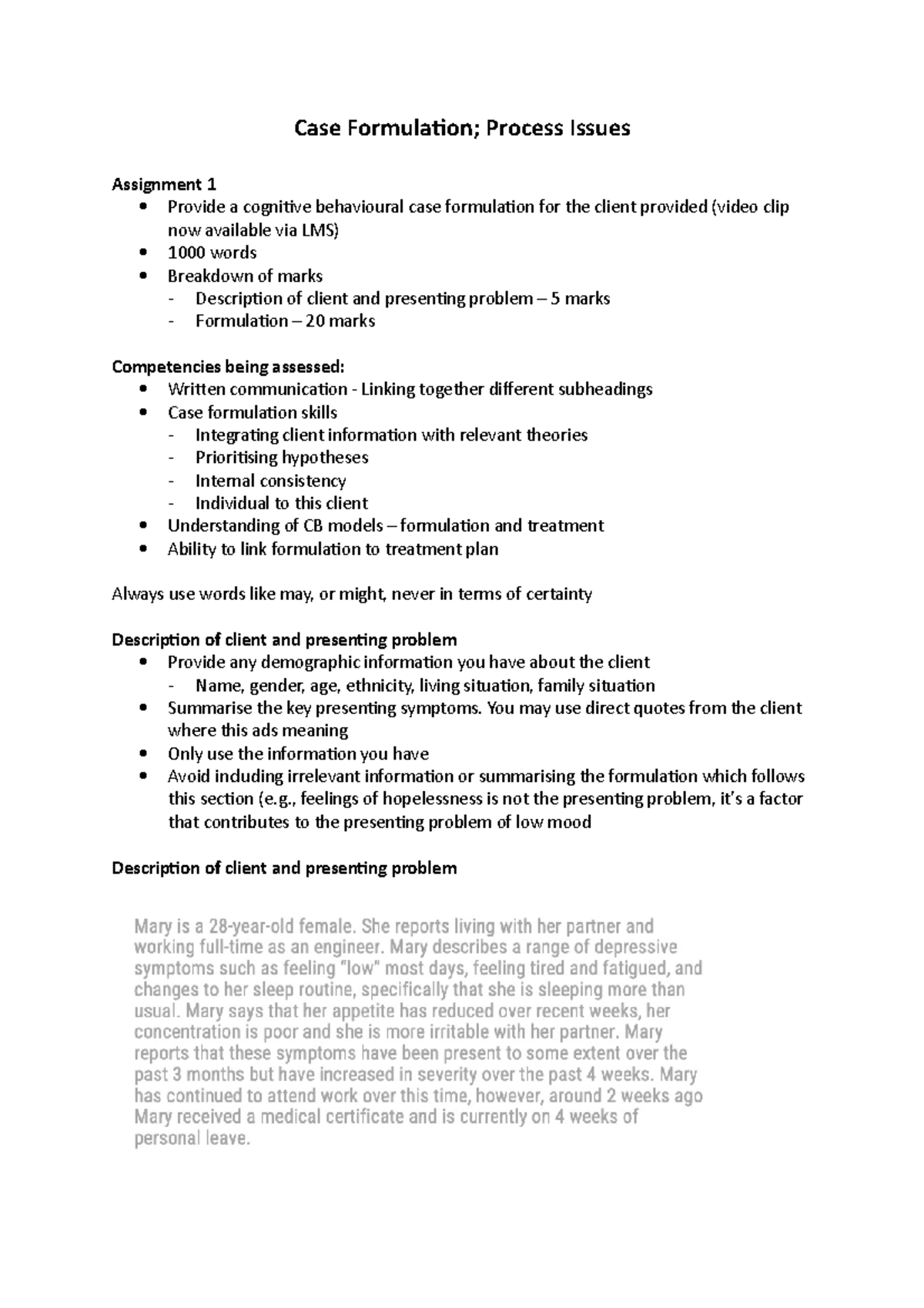 essay on case formulation