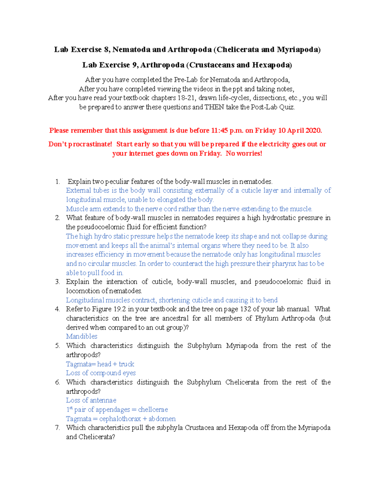 Lab Exercises 8 and 9 - Chemistry Lab report - Lab Exercise 8, Nematoda ...
