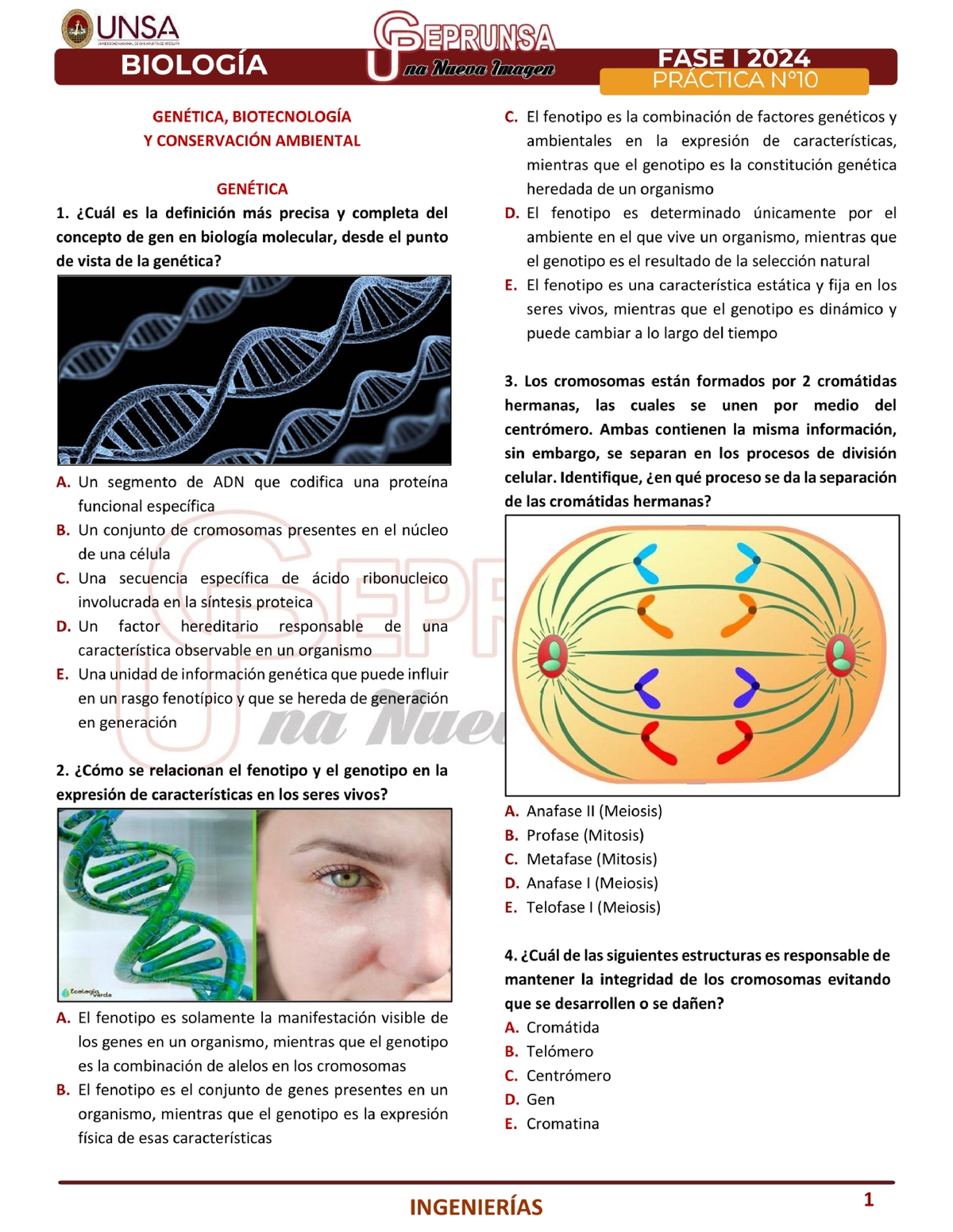 1. P10 (I) Biologia Ceprunsa I FASE 2024 - Biología Nivel Superior ...