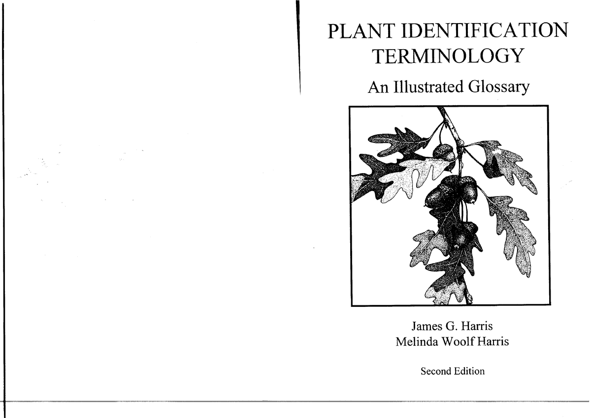 plant identification terminology an illustrated glossary download