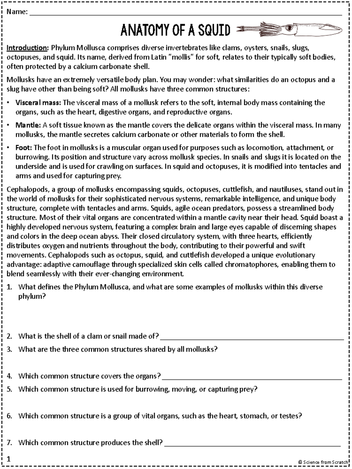 Squid Dissection PreLab Name Studocu