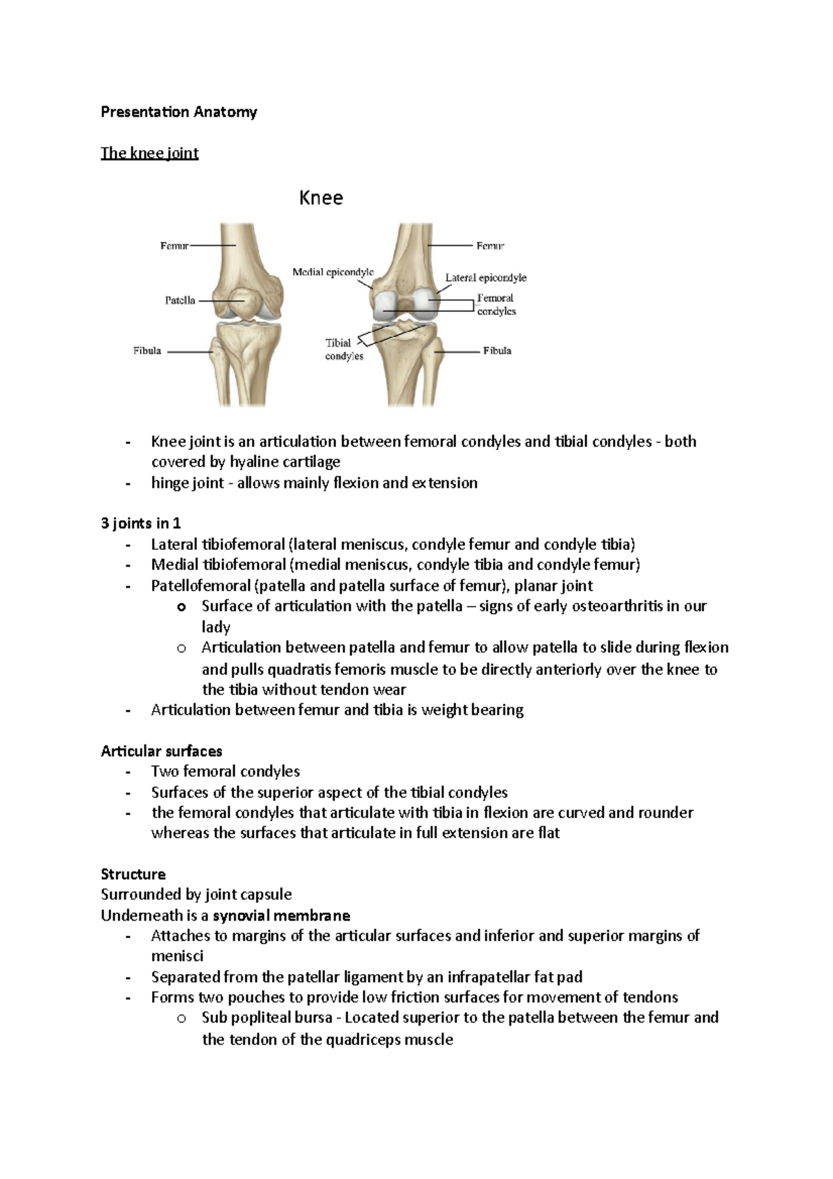 Presentation Anatomy - notes about the knee - Presentation Anatomy The ...