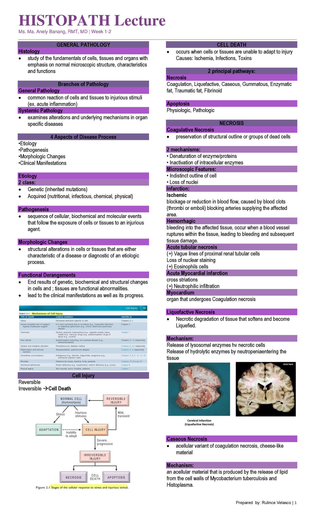 W1- Histopath-LEC - W1- Histopath-LEC - HISTOPATH Lecture Ms. Ma. Anely ...