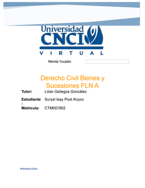 Derecho Civil Bienes Y Sucesiones Actividad 1 - 13 Mayo Del 2023 ...