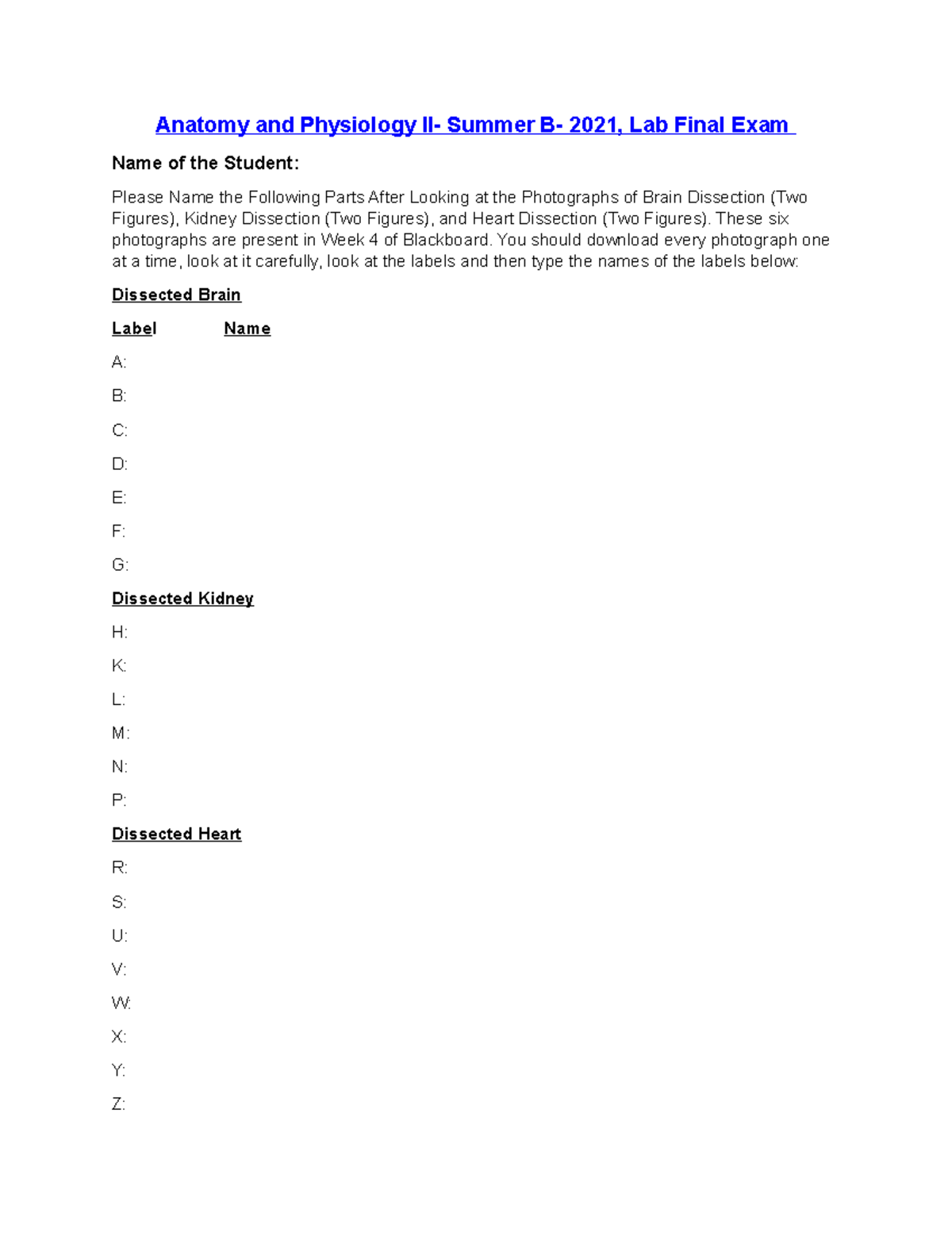 Anatomy And Physiology 2 Lab Final Exam Lab Final Exam-A&P II-Summer B- 2021 - Anatomy and Physiology II