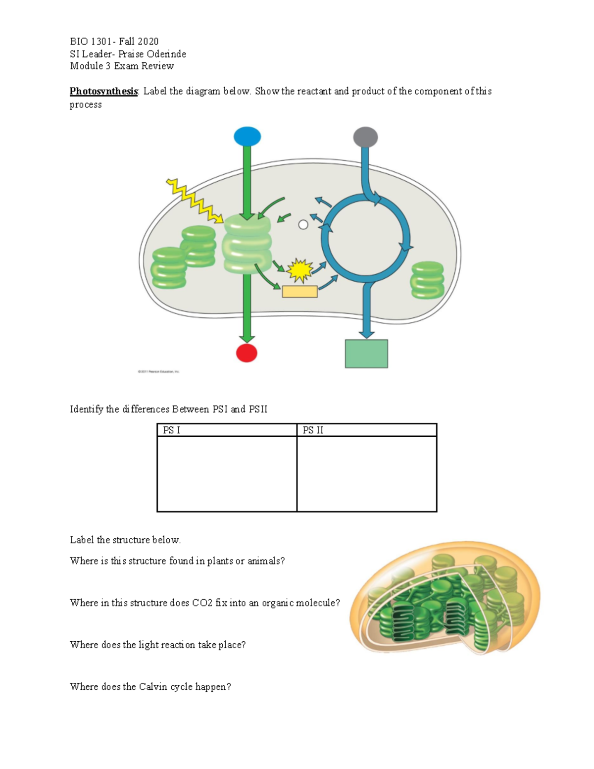 Module 3 Exam Review. - SI Leader- Praise Oderinde Module 3 Exam Review ...