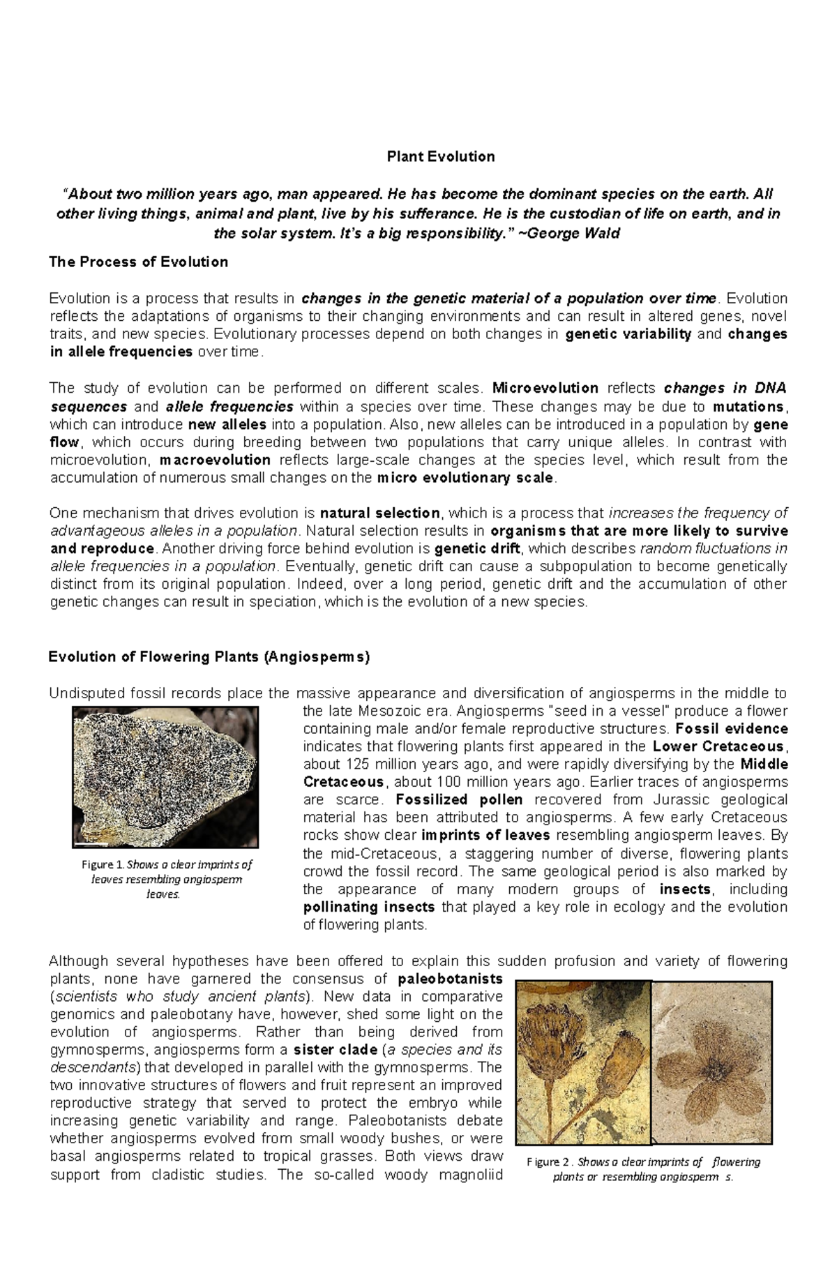 Plant Evolution Plant Evolution “About two million years ago, man