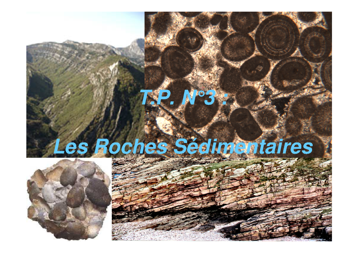 Roches sédimentaires TP 01 - T. N°3 : Les Roches Sédimentaires Les ...