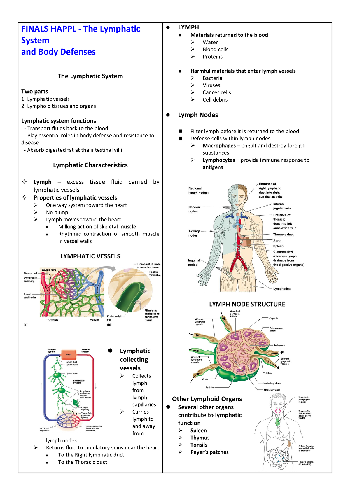 Happl Lympathic System 1 - FINALS HAPPL - The Lymphatic System and Body ...