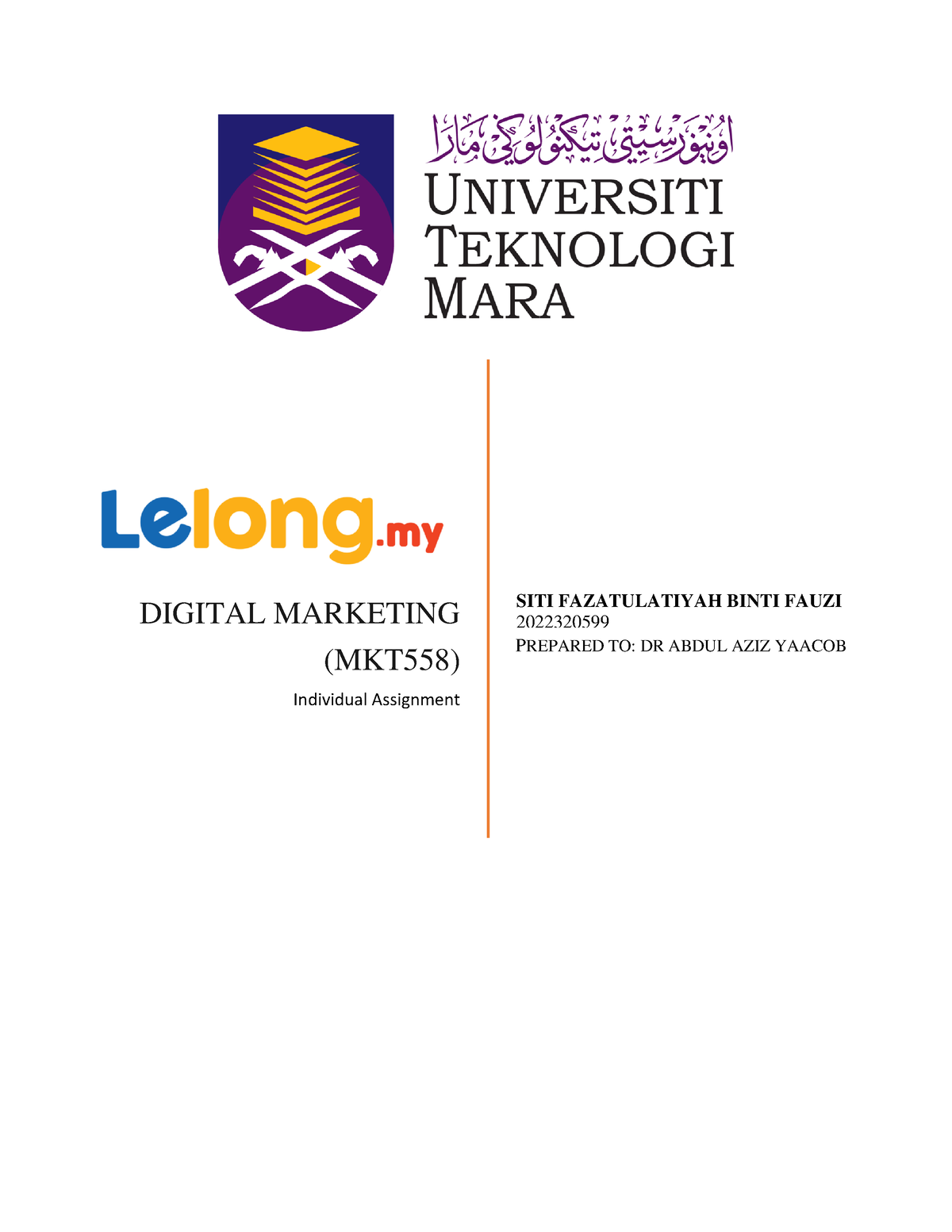 mkt558 digital marketing individual assignment