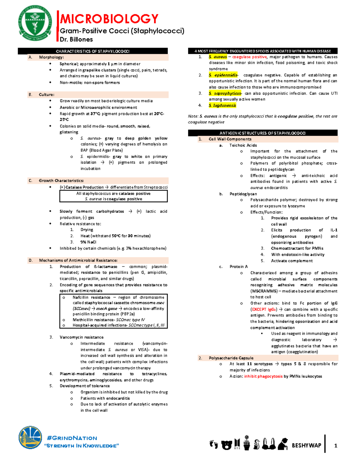 gram (+) cocci microbio - MICROBIOLOGY Gram-Positive Cocci ...