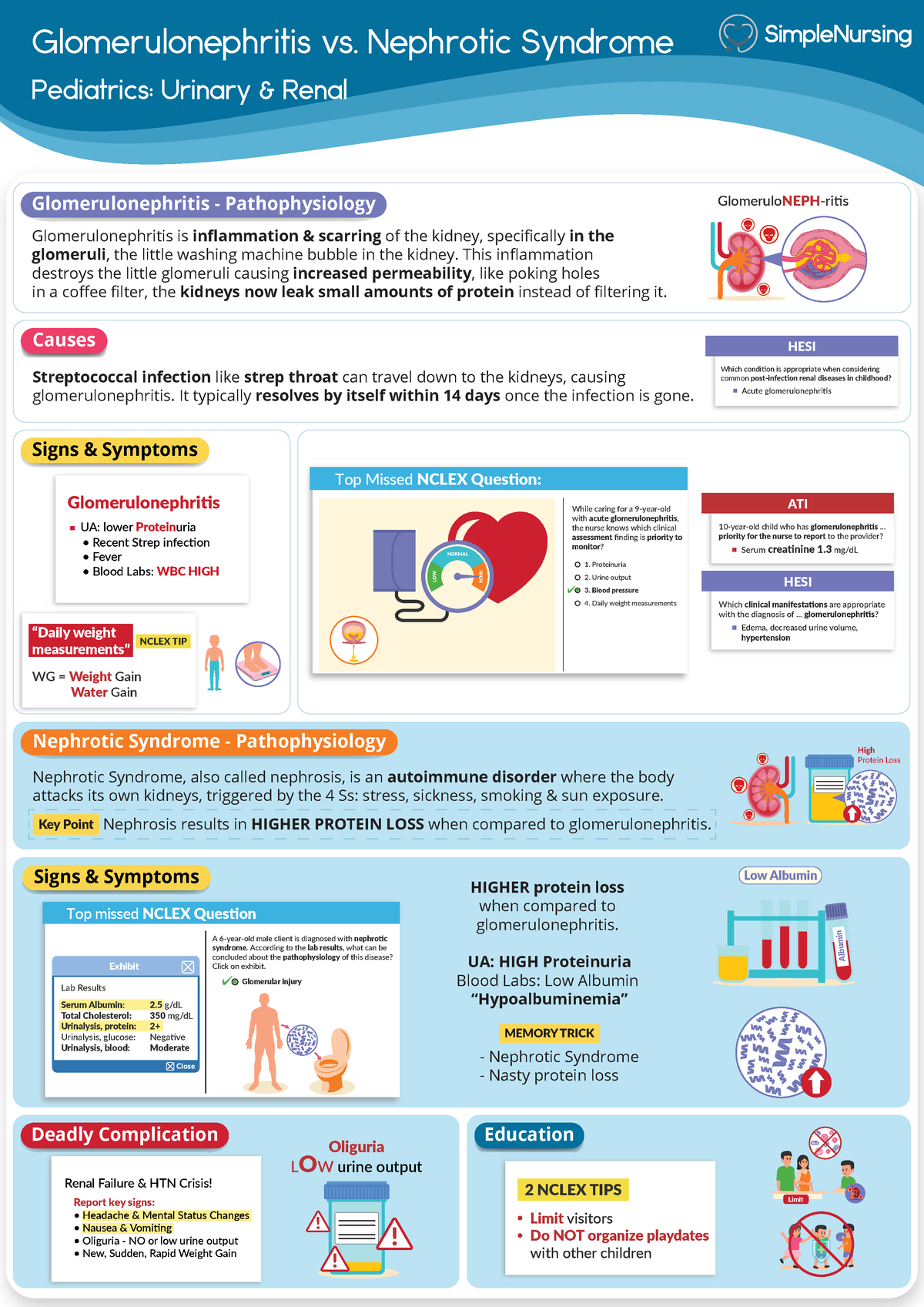 4.-Glomerulonephritis-vs.-Nephrotic-Syndrome - Glomerulonephritis vs ...