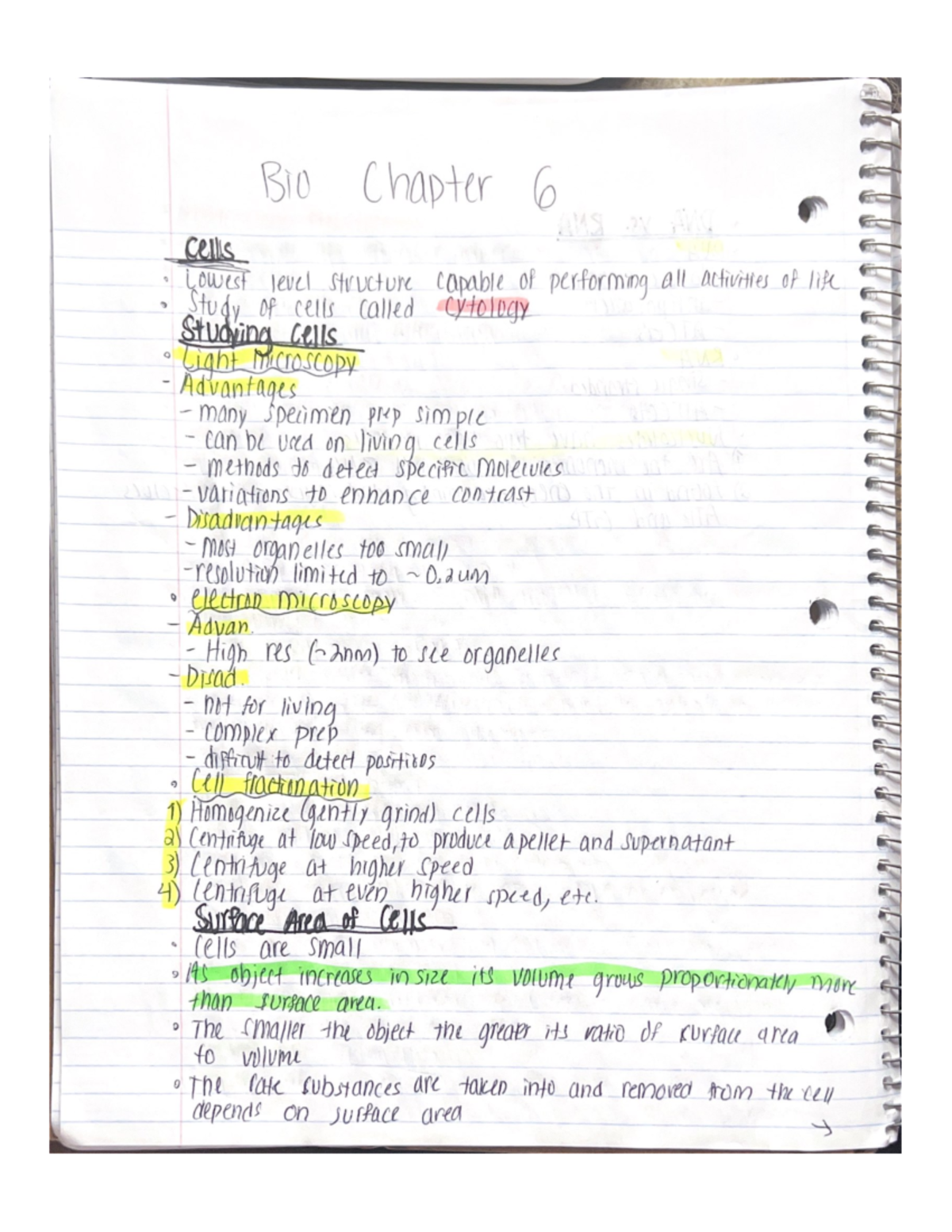 Biology Chapter 6: Cells - BSC 114 - Studocu